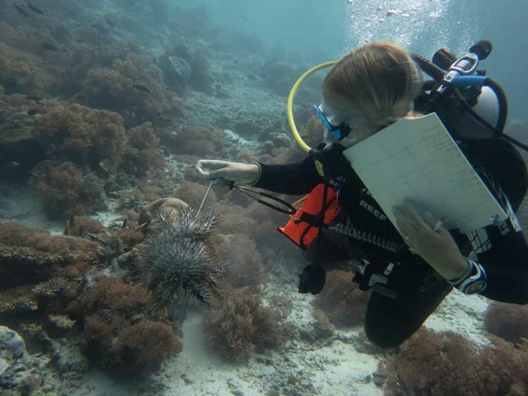 Marine Conservation